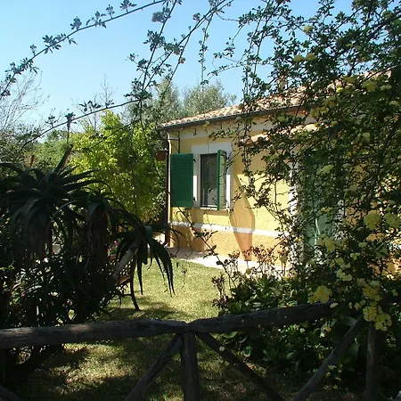 Vittoria *