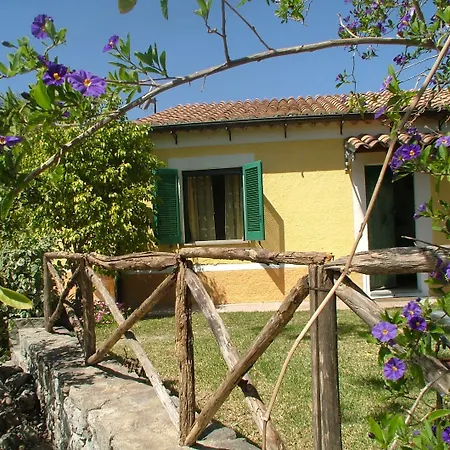Vittoria