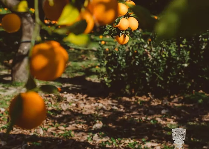 Vittoria Alojamento de Turismo Rural *