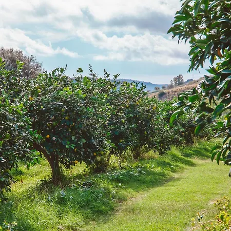 Agriturismo Vittoria Farm stay