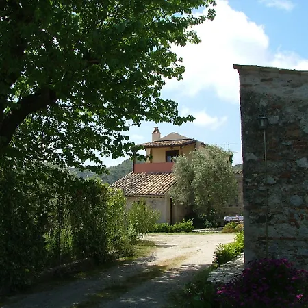 Vittoria Guardavalle