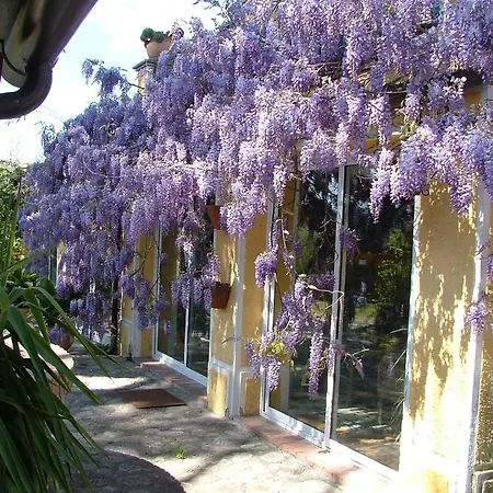 Vittoria Alloggio per agriturismo Guardavalle