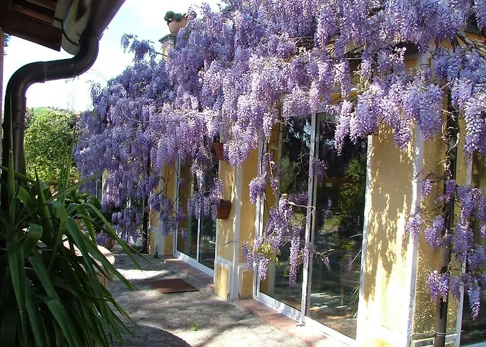 Vittoria Alojamento de Turismo Rural Guardavalle